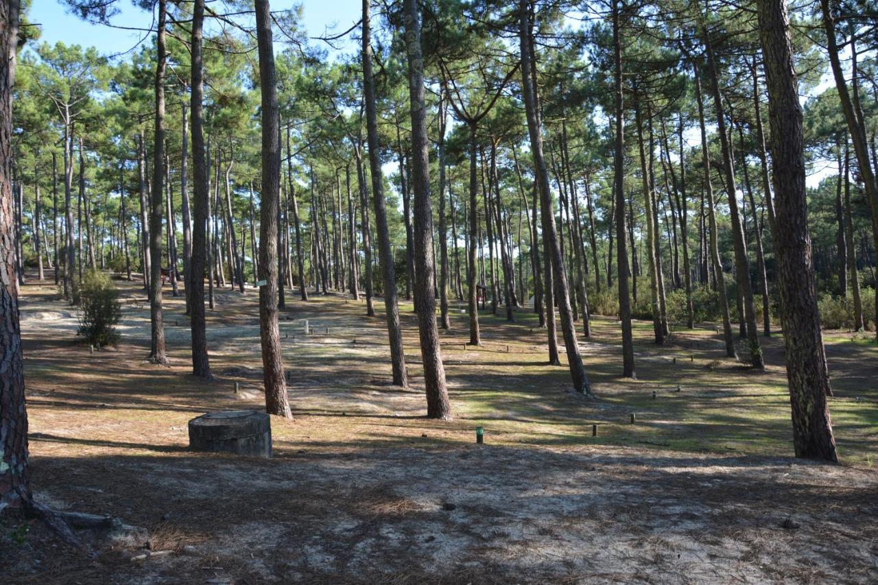Wellness Sport Camping - La Dune Bleue Carcans Εξωτερικό φωτογραφία